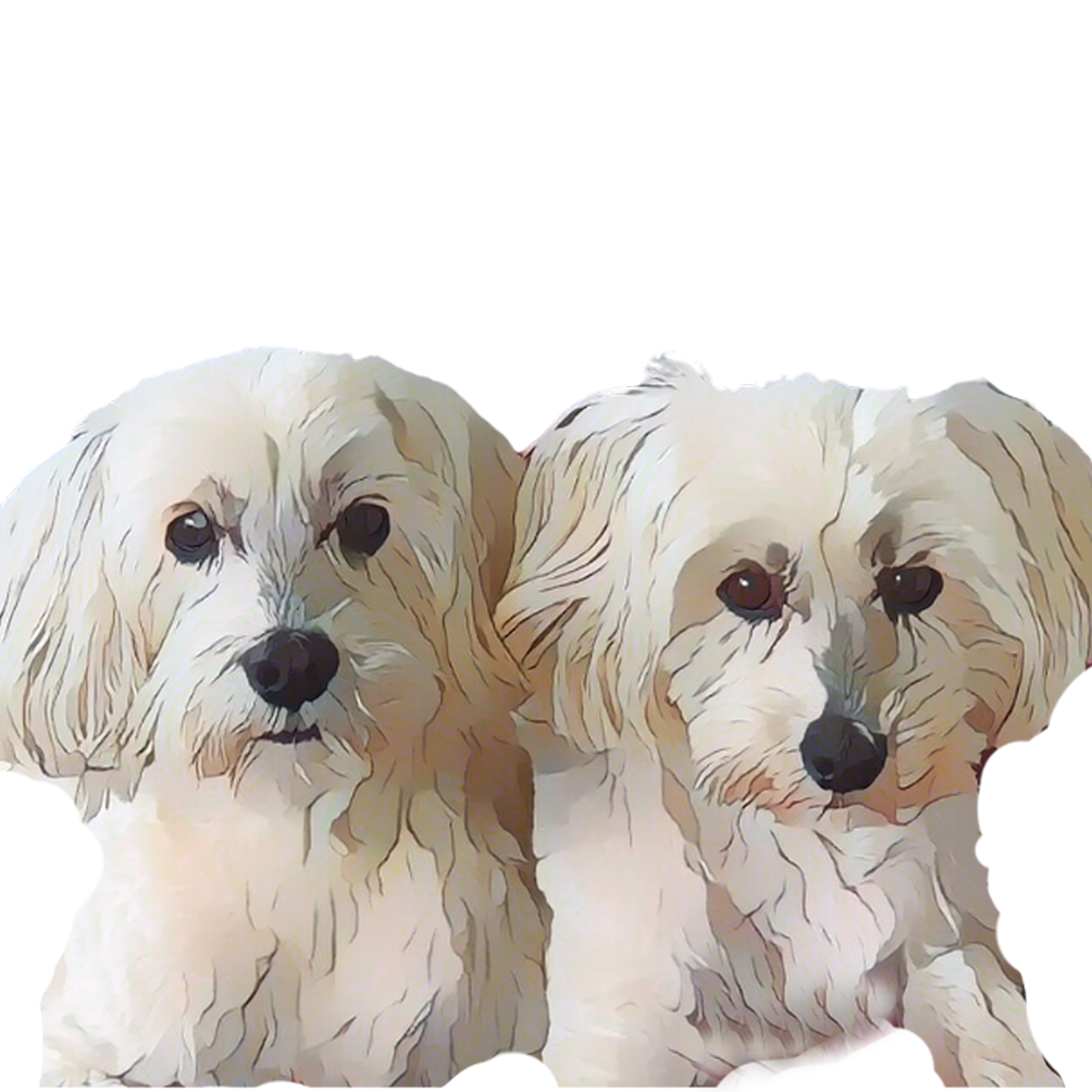 Donja und Dingo